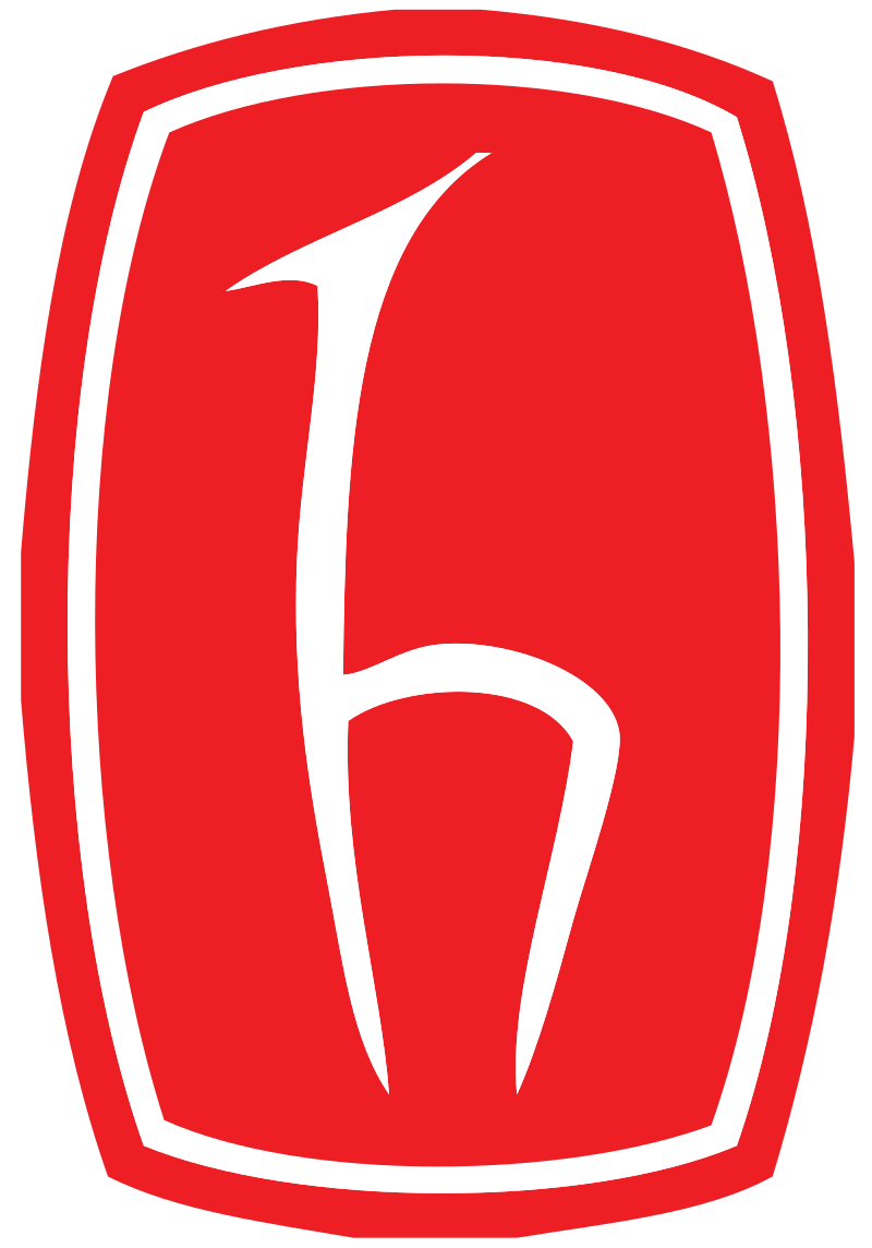 Hacettepe Logo